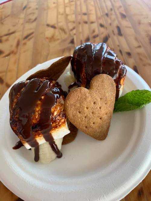 Two toasted marshmallows drizzled with chocolate on a plate, accompanied by a heart-shaped cookie and mint leaves.