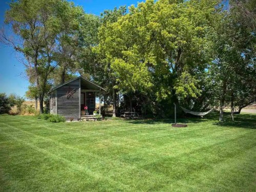 A small wooden cabin surrounded by lush green trees and a well-maintained lawn, with a hammock nearby.