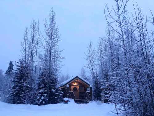 A cozy cabin surrounded by snow-covered trees in a winter landscape, with soft light glowing from the windows.
