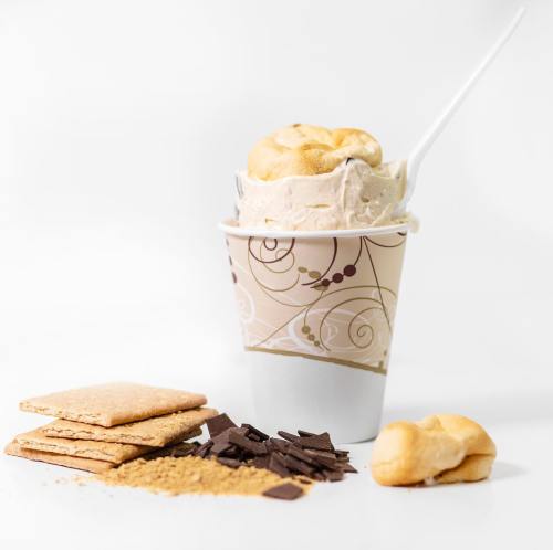 A cup of creamy ice cream topped with a pastry, surrounded by graham crackers and chocolate chunks on a white background.