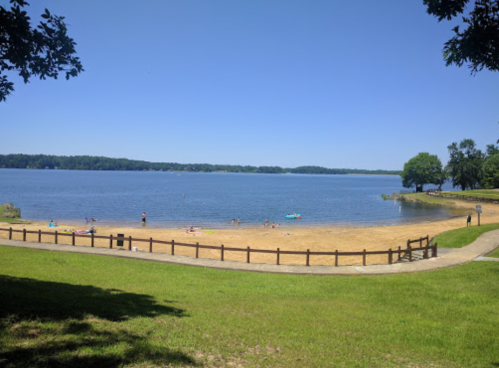 A sunny lakeside view with a sandy beach, people swimming, and green trees lining the shore.