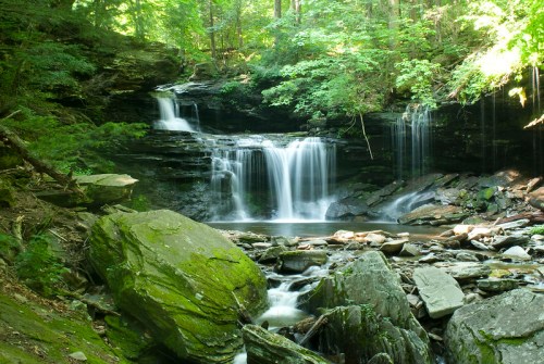 A serene waterfall cascades over rocky ledges, surrounded by lush green trees and a tranquil stream below.