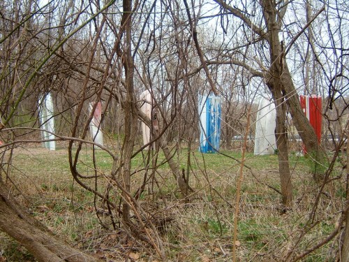 A cluster of colorful, weathered doors stands among tangled branches in a wooded area.