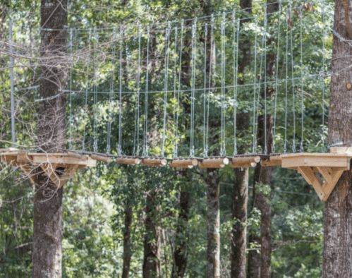 A wooden suspension bridge connects two platforms among tall trees in a forested area.