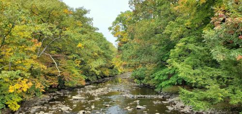 A serene river flows through a lush forest with vibrant autumn foliage and scattered rocks along the water's edge.