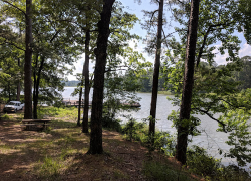 A serene lakeside view with trees, a picnic table, and a wooden dock in the distance under a clear blue sky.