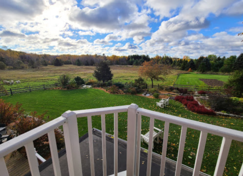 A scenic view from a balcony overlooking a lush green yard, trees, and a cloudy sky.