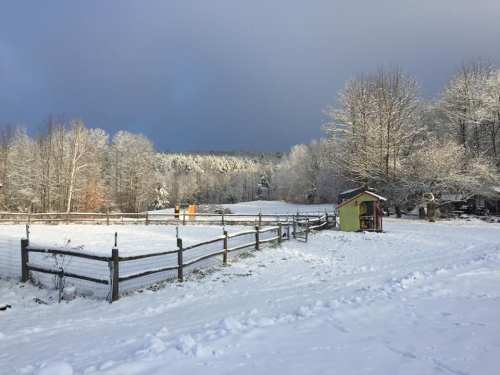 A snowy landscape with a wooden fence, a small colorful shed, and trees covered in frost under a cloudy sky.