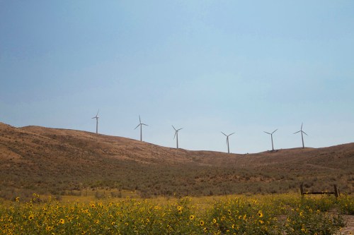 A landscape featuring a field of sunflowers in the foreground and wind turbines on a hillside under a clear sky.