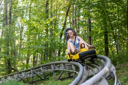 A person enjoys a ride on a yellow alpine coaster through a lush green forest.