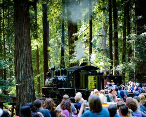 A vintage steam train travels through a lush redwood forest, with a crowd of people enjoying the scenic ride.