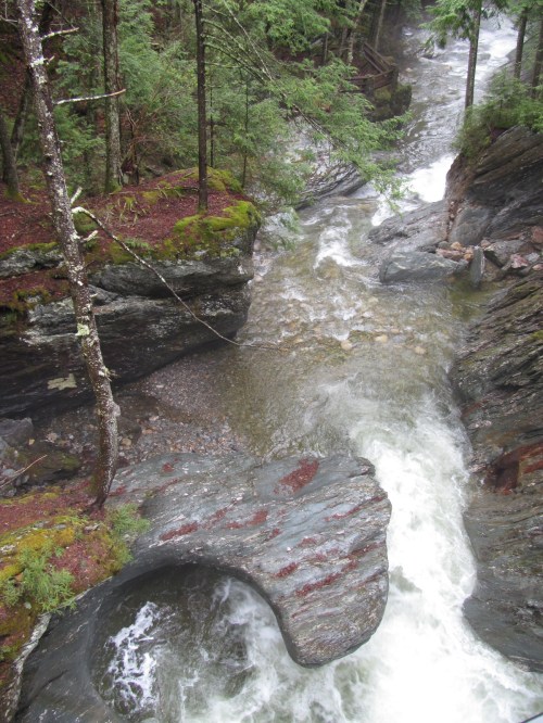 A winding river flows through a rocky landscape, surrounded by lush green trees and moss-covered stones.
