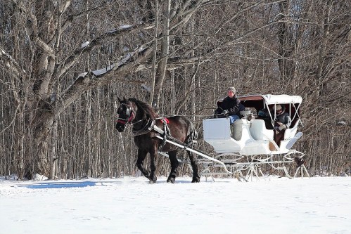 A horse-drawn sleigh travels through a snowy landscape, with two people enjoying the ride amidst bare trees.
