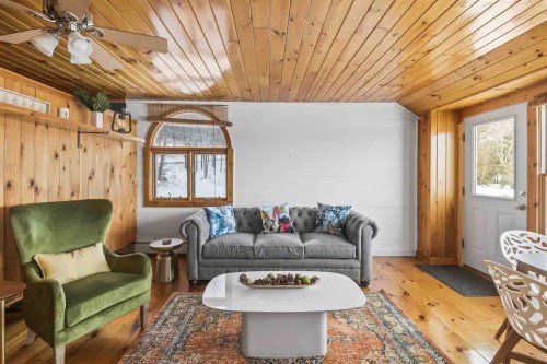 Cozy living room with wooden walls, a gray sofa, green armchair, and a white coffee table on a colorful rug.