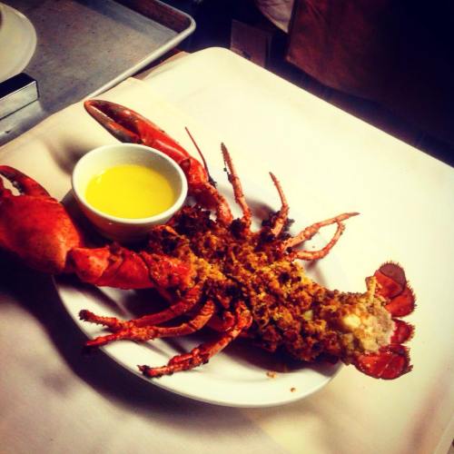 A whole lobster on a plate, stuffed and served with a small bowl of melted butter.