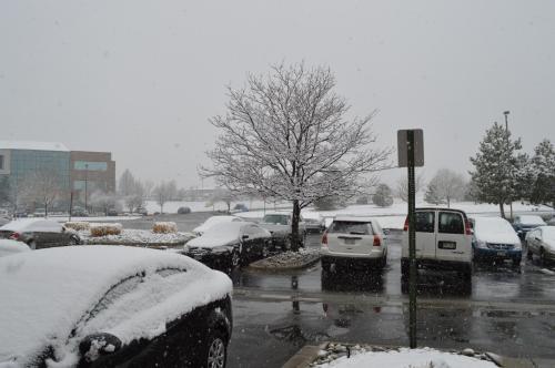 A snowy scene showing parked cars and a bare tree, with heavy snowfall and a gray sky in the background.
