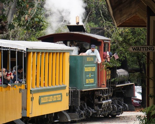 A vintage steam train with a green and yellow car, surrounded by trees, as passengers enjoy the ride.