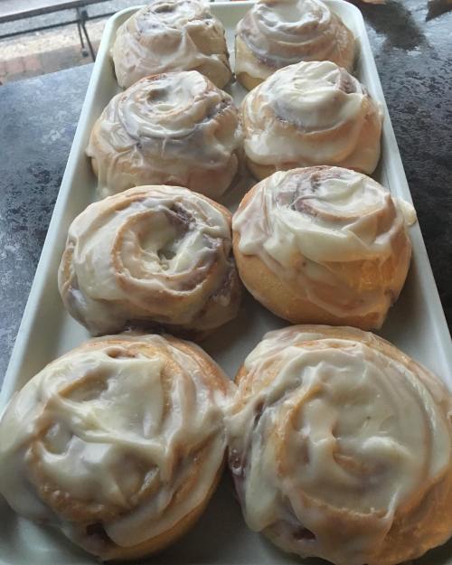 A tray of freshly baked cinnamon rolls topped with creamy icing, arranged neatly in a row.