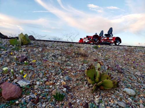 A red vehicle parked on rocky terrain with cacti and wildflowers under a blue sky with wispy clouds.