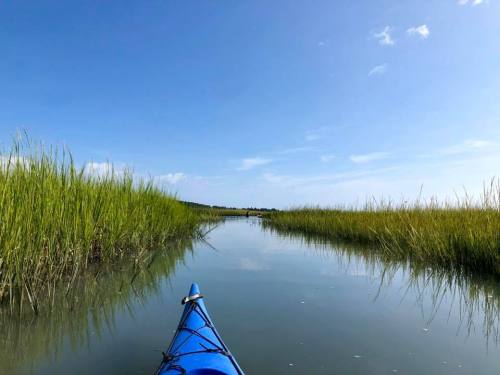 A blue kayak glides through a calm waterway surrounded by tall green grass under a clear blue sky.