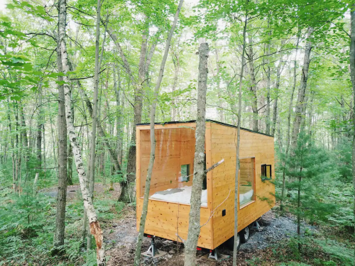 A small wooden cabin on wheels nestled among trees in a lush green forest.