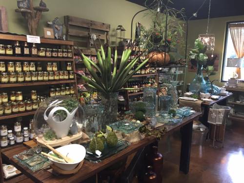 A cozy shop display featuring decorative plants, glass vases, and various home goods on wooden tables and shelves.