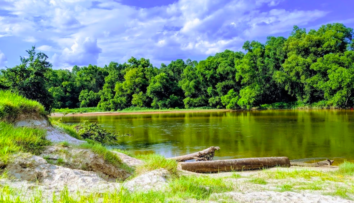 Over 1,700 Acres Of Adventure Awaits You At Bogue Chitto State Park ...