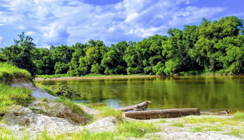 A serene river scene surrounded by lush green trees and a sandy bank under a bright blue sky with fluffy clouds.