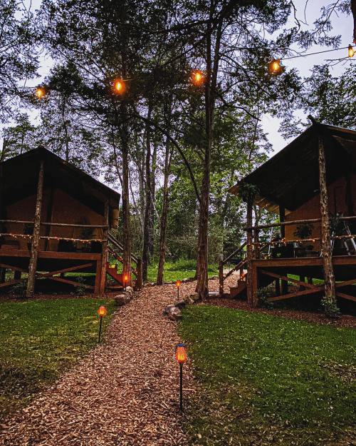 Two cozy cabins surrounded by trees, with a path lined by lanterns and string lights above, creating a warm atmosphere.