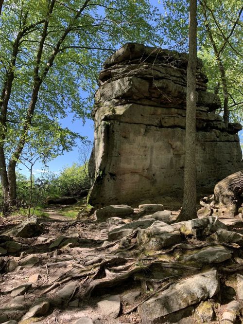 A large rock formation surrounded by trees and a clear blue sky, with a path leading through the natural landscape.