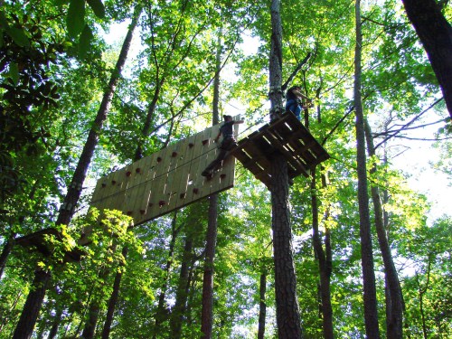 Two people navigate a high ropes course among tall trees, surrounded by lush green foliage.