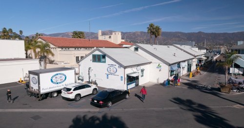 A coastal seafood market with a delivery truck, parked cars, and palm trees, set against a mountain backdrop.