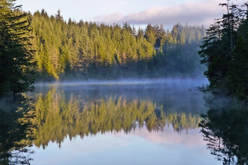 A serene lake reflects lush green trees and a misty morning sky, creating a tranquil natural scene.