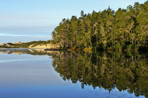 A serene lake reflecting tall trees and a clear sky, with gentle ripples on the water's surface.