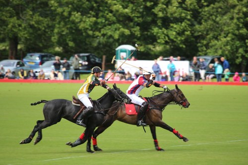 Two polo players on horseback compete in a match, with spectators and cars in the background on a sunny day.