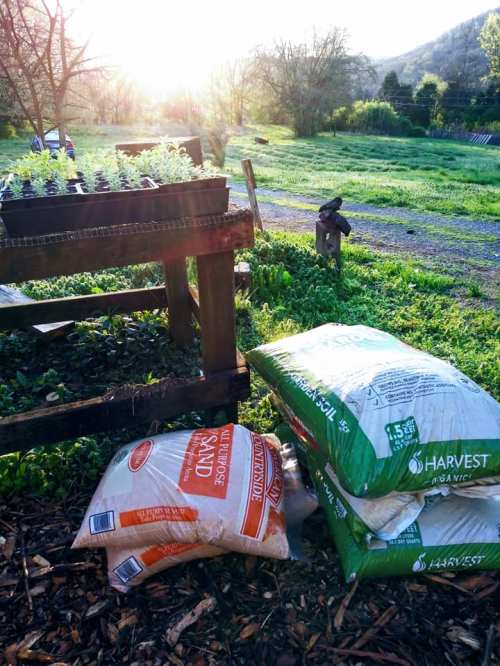 Sunlight filters over a garden scene with potted plants, bags of soil, and a lush green landscape in the background.
