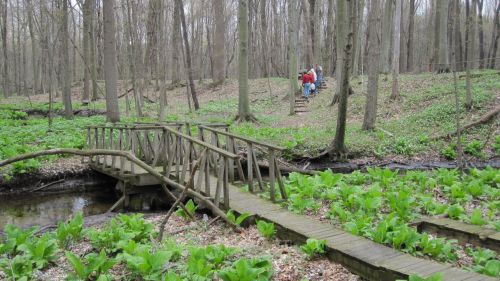 A wooden bridge over a stream in a forest, with people walking up a path in the background among green foliage.
