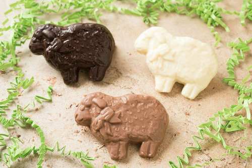 Three chocolate sheep figurines in dark, milk, and white chocolate, surrounded by green crinkle paper.
