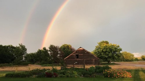 A rustic barn surrounded by greenery and flowers, with a double rainbow arching across a cloudy sky.