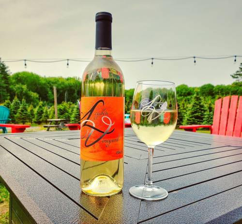 A bottle of white wine and a glass sit on a table outdoors, surrounded by trees and colorful chairs.