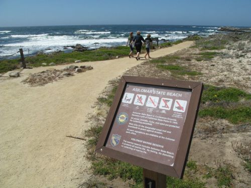 A sign at Asilomar State Beach with rules, overlooking a sandy path and people walking along the coastline.