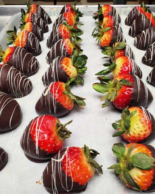 A tray of chocolate-covered strawberries drizzled with white chocolate, arranged in neat rows.
