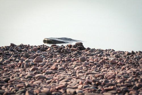 A rocky shoreline with smooth pebbles and a calm water surface reflecting light.