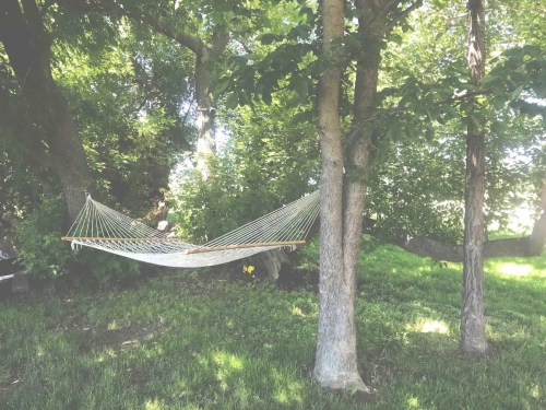 A hammock suspended between two trees in a lush green backyard, surrounded by foliage and dappled sunlight.