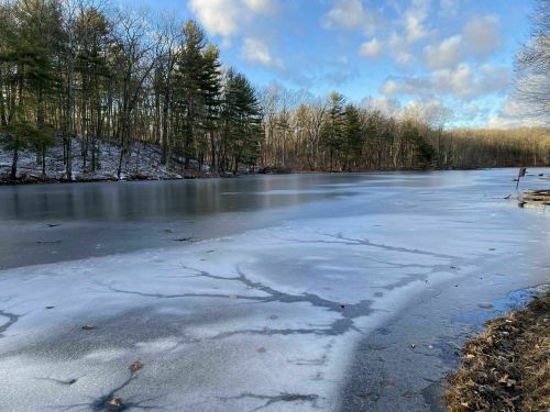 A serene winter scene of a partially frozen lake surrounded by trees under a blue sky with scattered clouds.