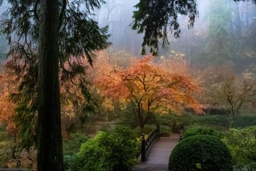 A serene garden scene with a wooden bridge, vibrant autumn trees, and misty surroundings.