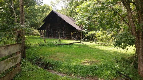 A rustic, weathered cabin surrounded by lush greenery and trees, with a grassy area in the foreground.