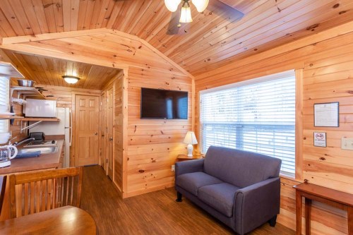 Cozy wooden interior of a cabin with a sofa, dining table, kitchen area, and a window letting in natural light.