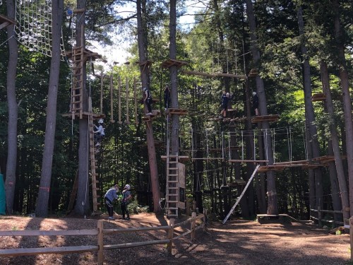 A treetop adventure course with wooden structures, ropes, and ladders among tall trees, featuring people navigating the course.