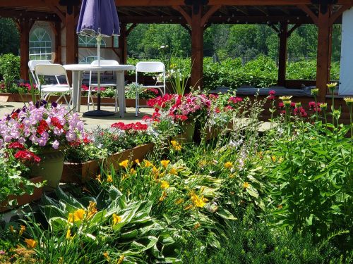 A vibrant garden with colorful flowers and a shaded seating area under a pergola on a sunny day.